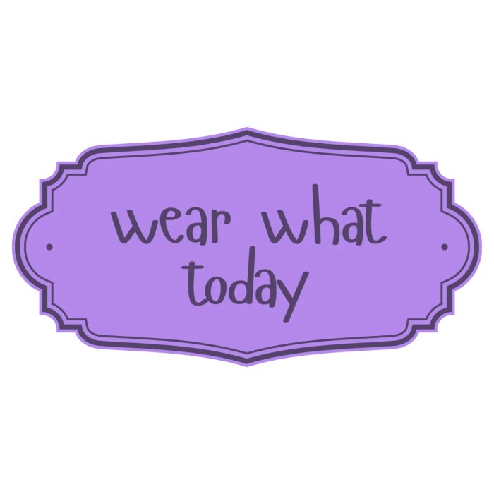 Wear What Today Proves That Sarcasm Is a Style Statement With Original Apparel, Pet Gear, Footwear, and Accessories for Bold Adults