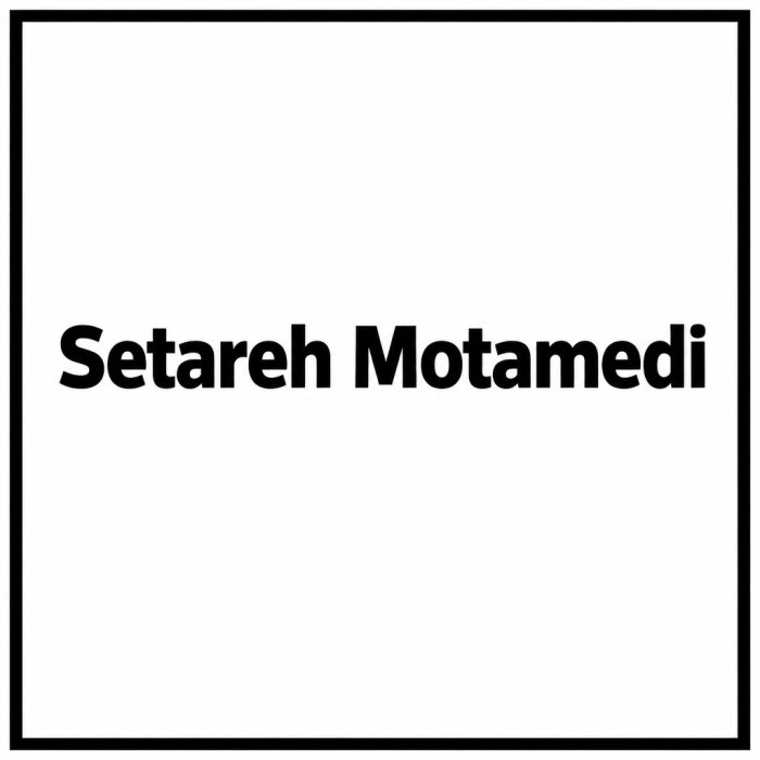 Marketing Executive Setareh Motamedi Introduces Modern Growth Framework to Connect Buyer Behavior, Marketing Strategy and Business Growth